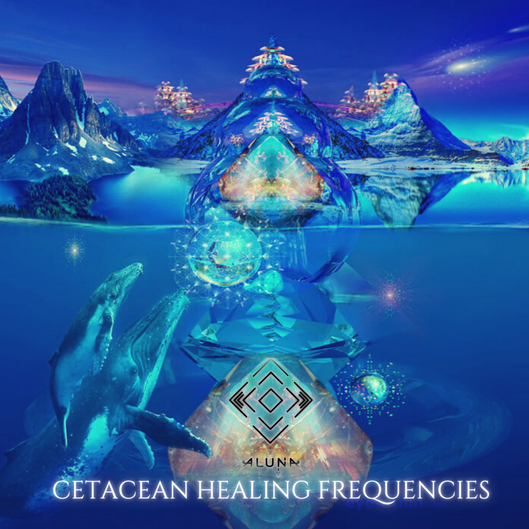 ALUNA - Cetacean Healing Frequencies